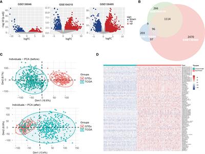 Identification of CDCA2 as a Diagnostic and Prognostic Marker for Hepatocellular Carcinoma